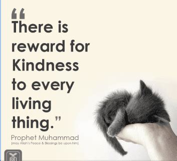 Islamic Quotes on the Rewards of Charity and Acts of Kindness.